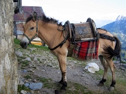 Passo Tartano e Laghi di Porcile il 18 agosto 2012 - FOTOGALLERY